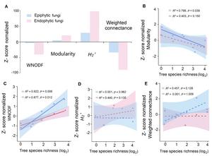 Figure 2  Relationship between structure of plant-epiphytic and endophytic fungus networks and tree species richness