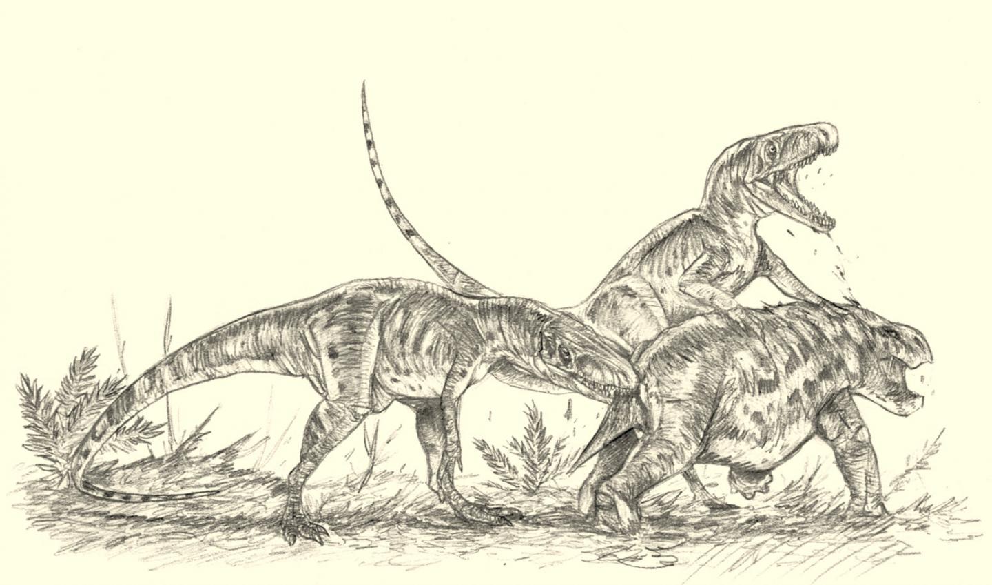 <I>Smok wawelski</I>s and Dicynodont