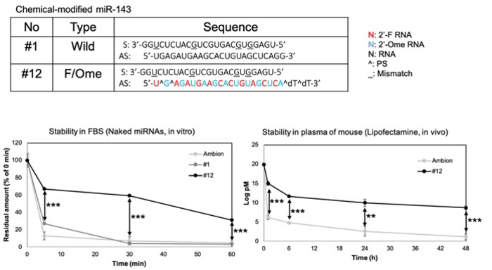 Figure 1. Sequence of chemically modified miR-143#12 and nuclease resistance.