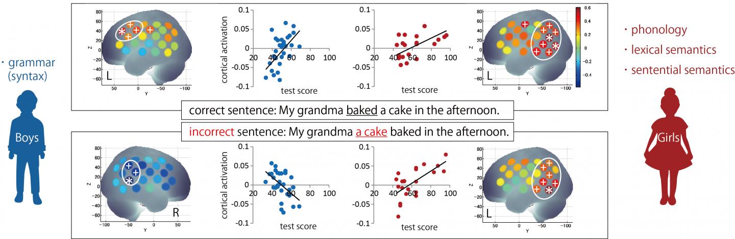 Adolescent Male and Female Brains Respond Differently to English Sentences