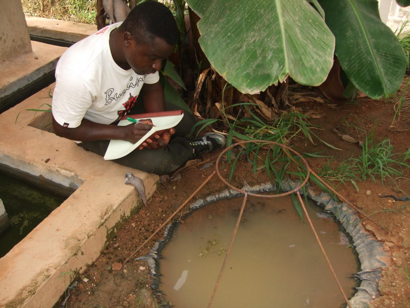 Researcher Inspecting Mosquito Breeding Pool
