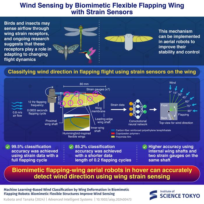 Wind sensing by biomimetic flexible flapping wing with strain sensors