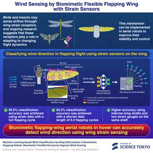 Wind sensing by biomimetic flexible flapping wing with strain sensors