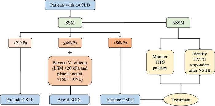 The suggested approach for the management of patients with compensated advanced chronic liver disease.