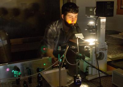 Laser Trims Fruit Fly Genital Spines