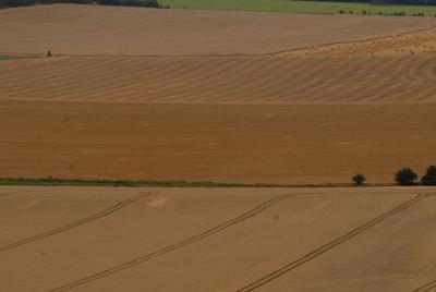 Homogeneous Arable Land Germany