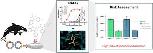 Schematic diagram of the chemical risk assessment method for killer whales using NAMs