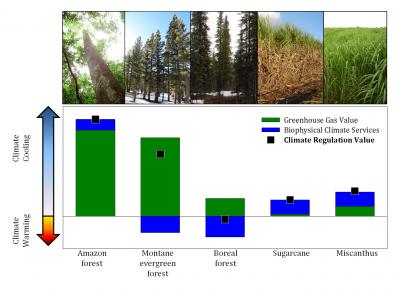 Climate Effects of Different Eco-Regions