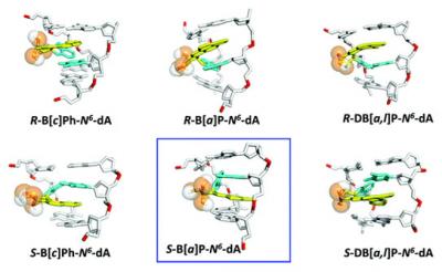 DNA Lesion Models