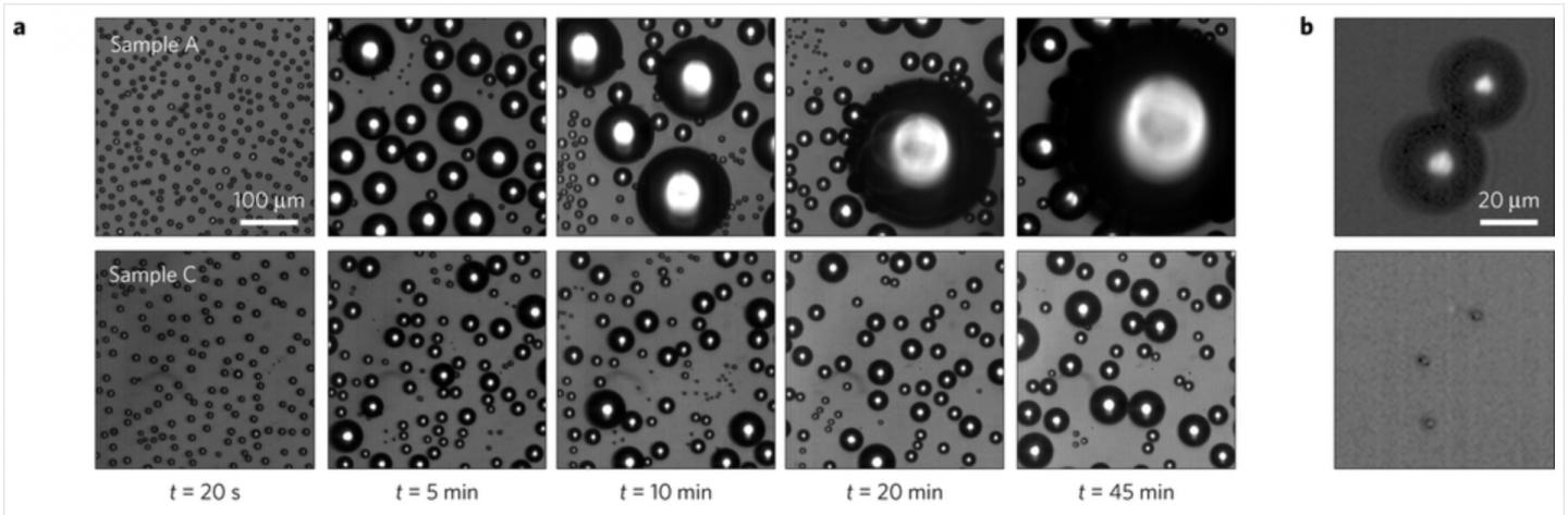 Optical Microscope Images of Water Condensing on Nanotextures