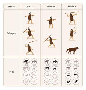 Changes in the hunting tools and the dominant animals in the sites from the Paleolithic period