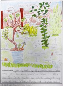 What can drawings tell us about children’s perceptions of nature?