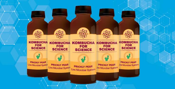 Kombucha