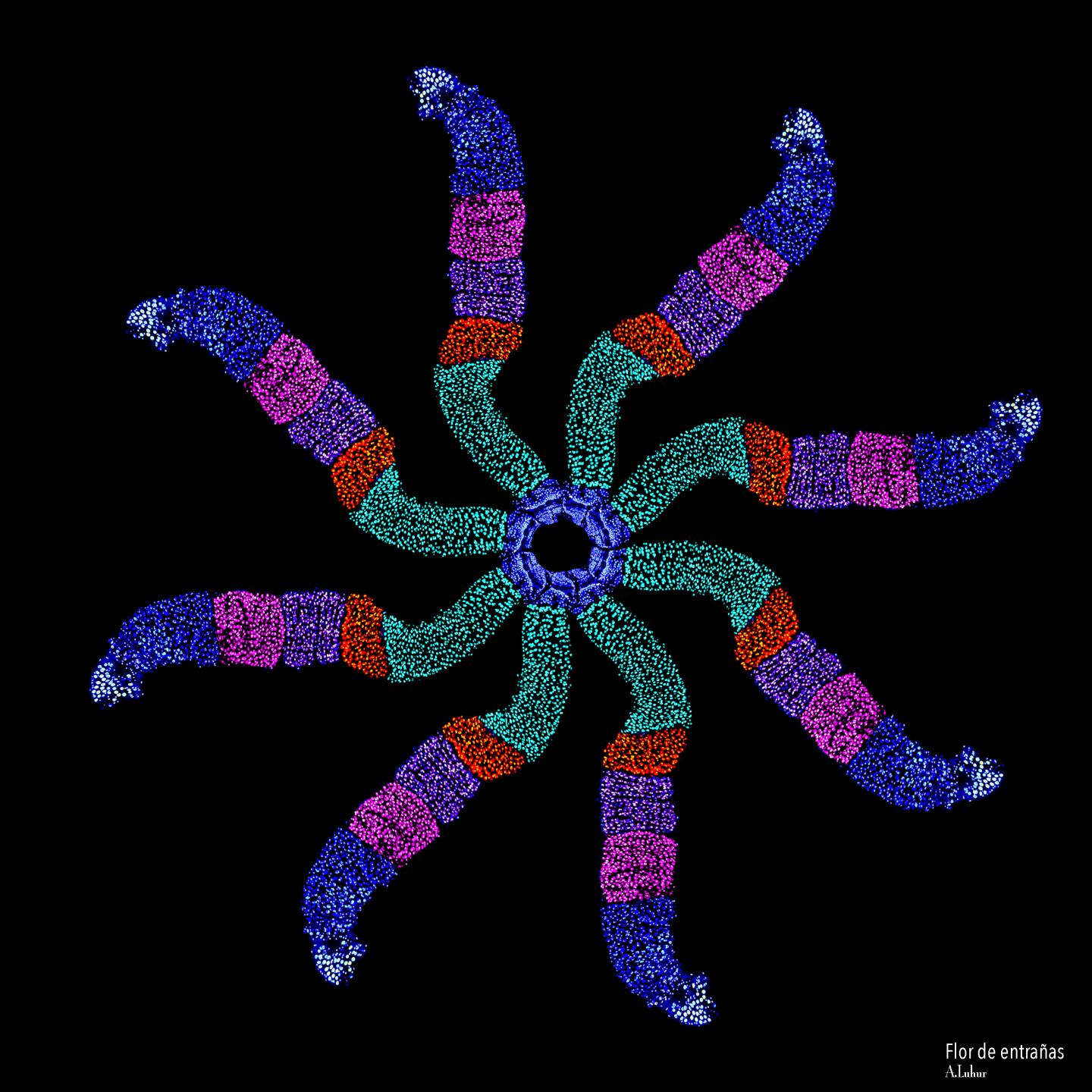 <i>Drosophila</i> Intestine Samples in a Floral Pattern