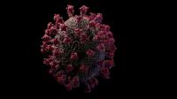3D model of the SARS-CoV-2 virus at atomic resolution