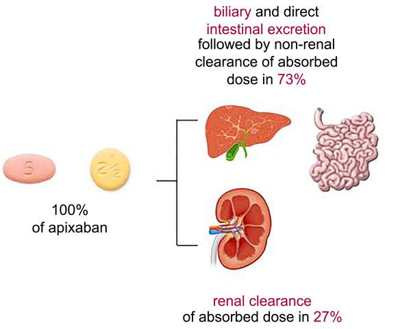 The Main Characteristics of New Oral Anticoagulant with Anti-Xa Activity