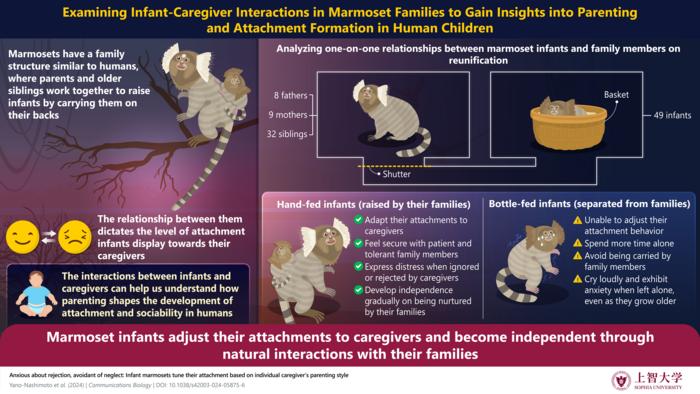 Infant-Caregiver Interactions [IMAGE] | EurekAlert! Science News Releases