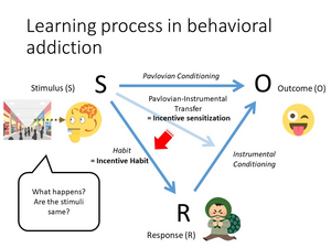 Learning process in behavioral addiction