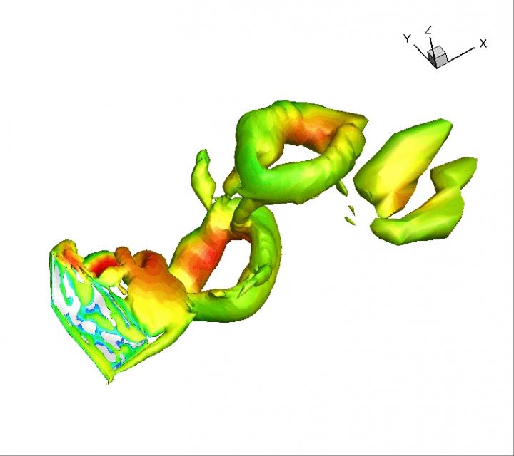 Bat flight model can inspire smarter, nimbler | EurekAlert!