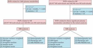 A diagram showing the bidirectional Mendelian randomization methodology