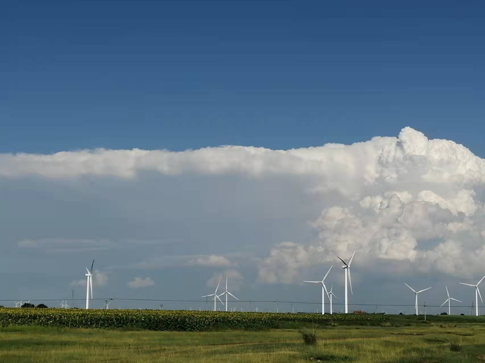 wind farm