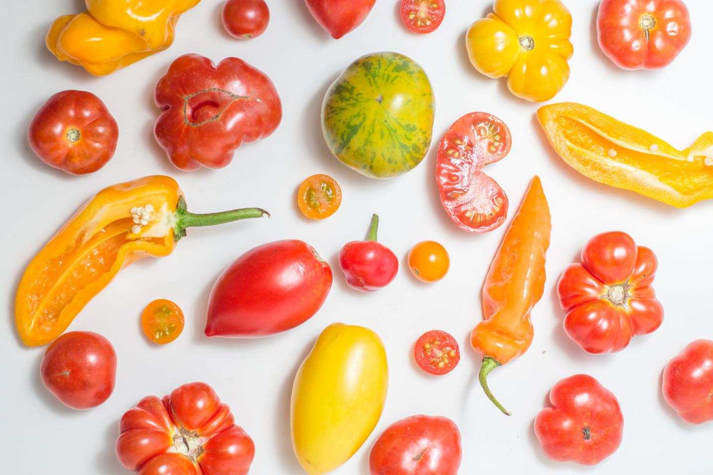 How Citizen Science Can Shed Light On Agriculture, Food Research