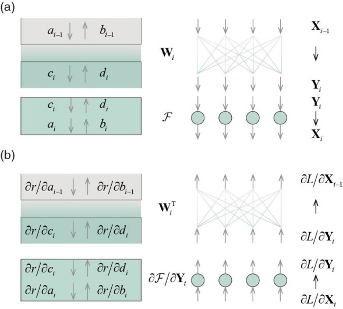 Behavior similarity between light field in thin-film and data flow in a neural network