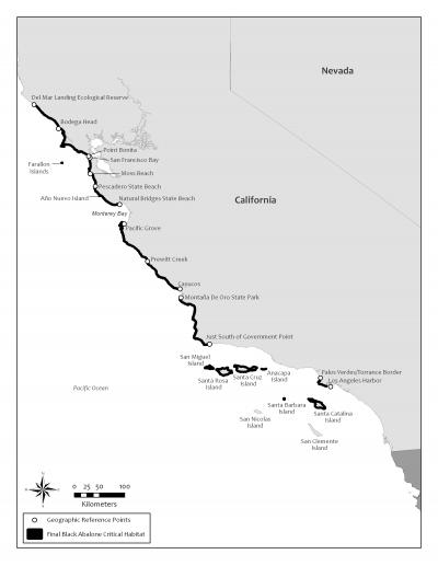 Graphic of Black Abalone Critical Habitat Locations
