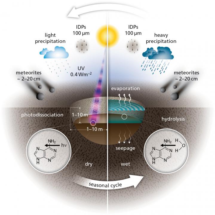 A Figure Representing the Various Influences Acting on Chemicals in Warm Little Ponds