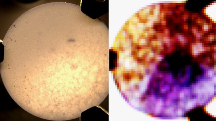 New Imaging Technology Can Measure the Chemical Composition of Pharmaceuticals