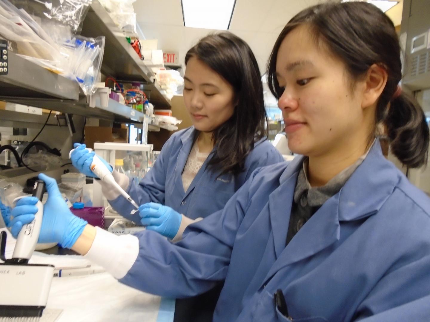 Sue Tsai, Banting Fellow and Helen Luck, University of Toronto