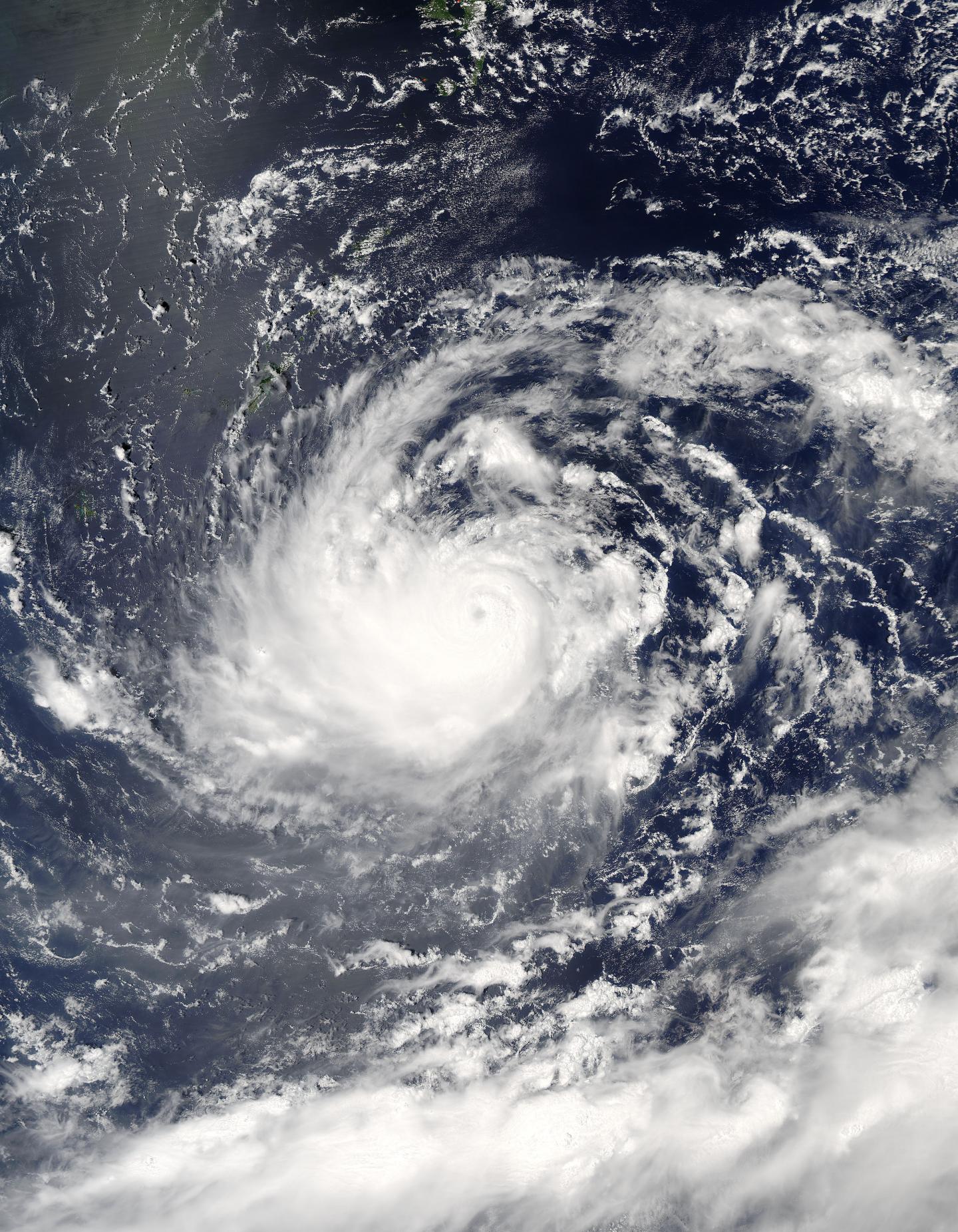 Aqua Image of Lionrock