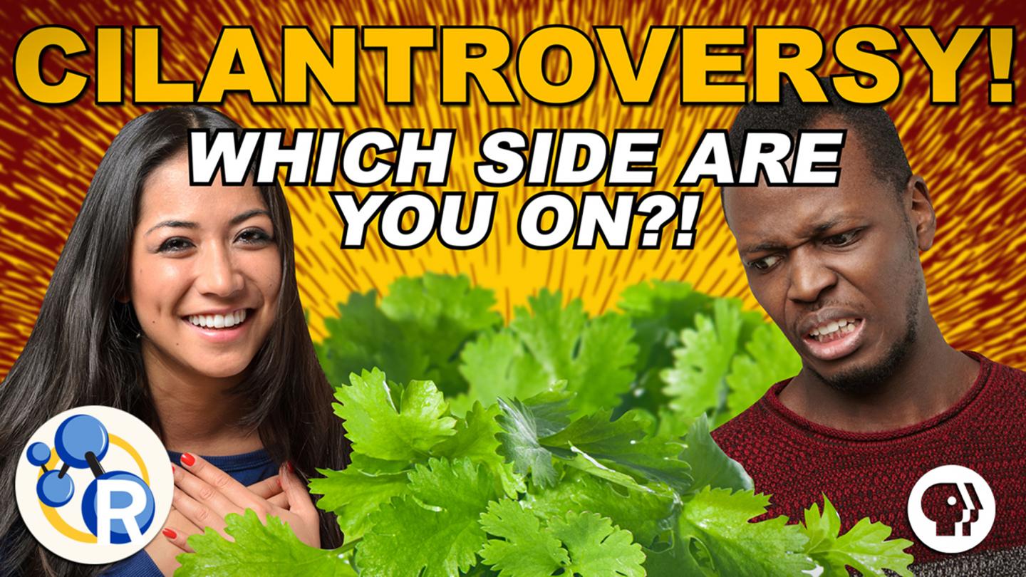Why Do Some People Hate Cilantro? (Video)
