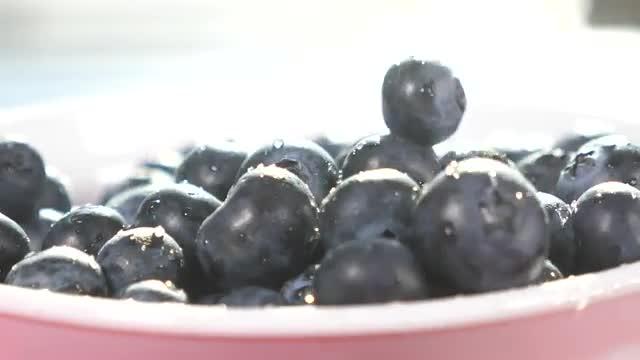 Berry Gives Boost to Cervical Cancer Therapy