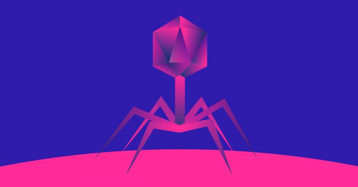 Bacteriophage