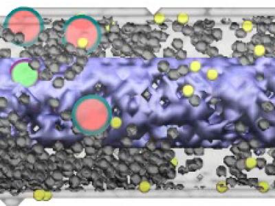 Sugar Transporter Protein