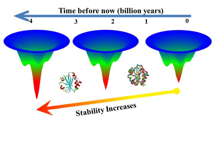 Proteins That Can Take the Heat