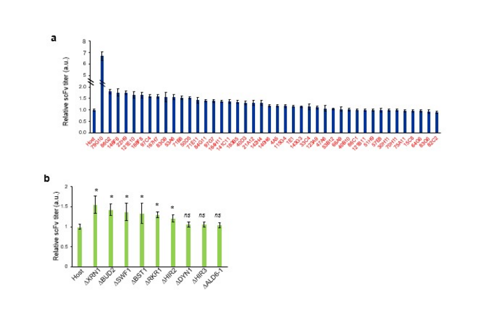 Figure 3: