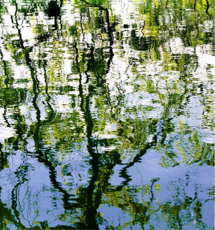 Tracing the vertical and horizontal lines of bacterial evolution back to the root.