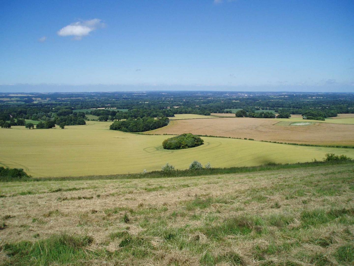 Uk Landscape with Habitat Patches