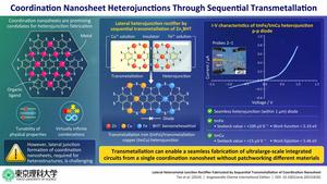 Fabrication of a lateral heterostructure using transmetallation.