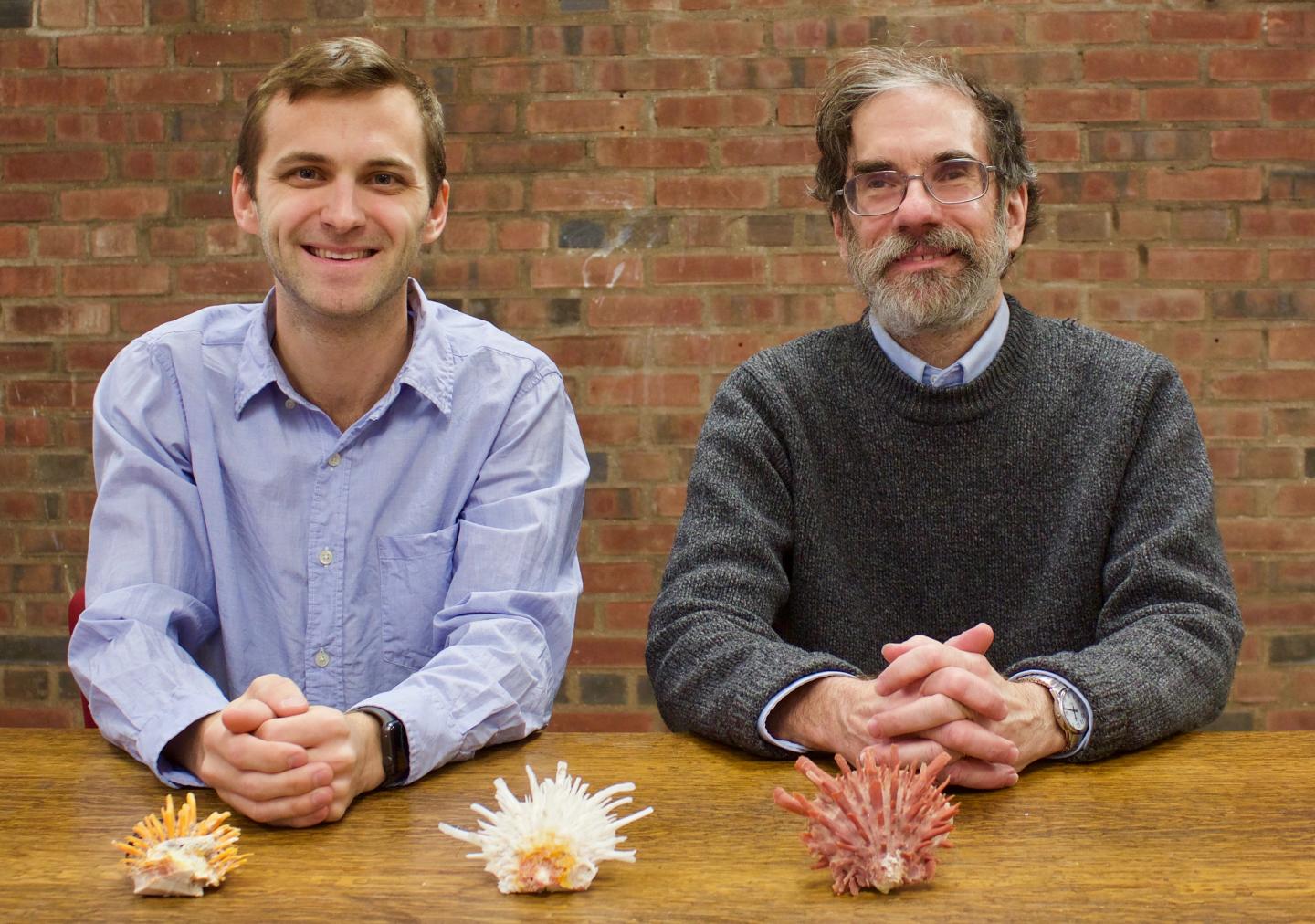 Mass Extinctions Remove Species But Not Ecological Variety, Say UChicago Scientists Jablonski, Edie