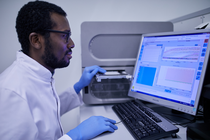 PCR Analysis