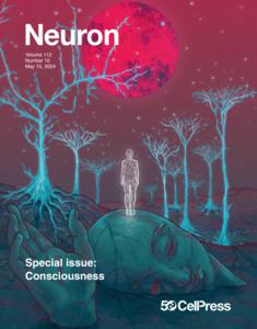 Cover of Neuron special issue on conciousness