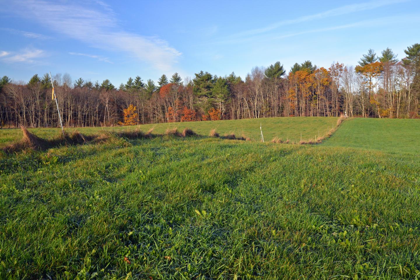 Grassy Broad-Crested De Geer Moraines