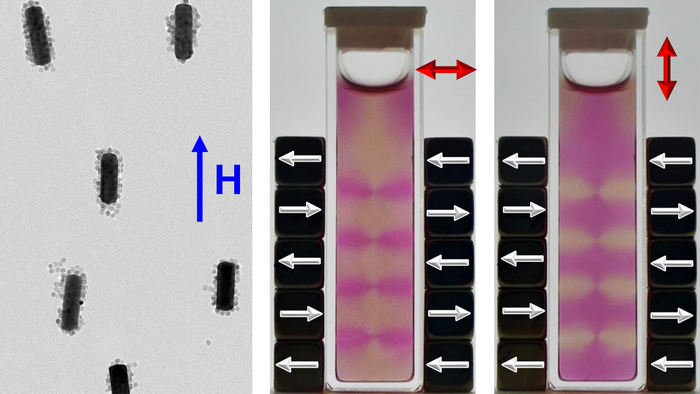 gold nanorods