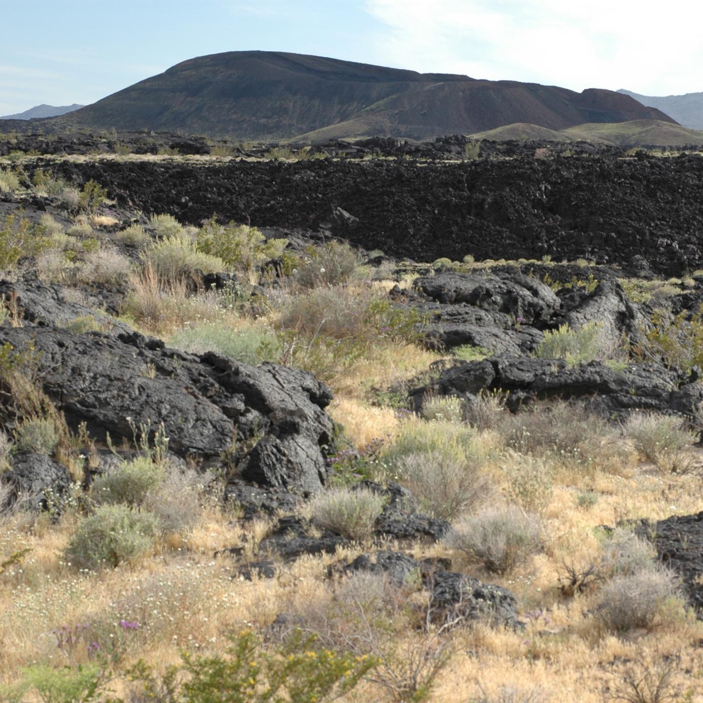 Pisgah Lava Flow