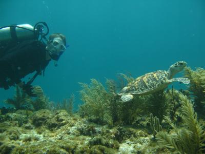 Sean Bignami, University of Miami Rosenstiel School of Marine & Atmospheric Science