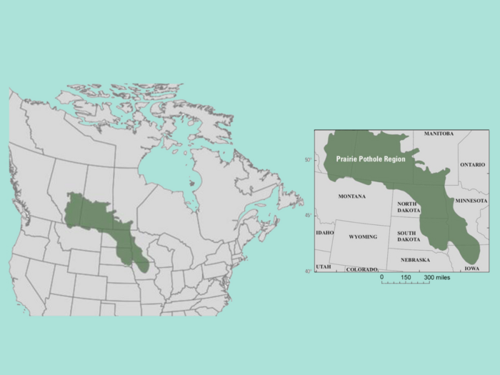 Map of Prairie Pothole Region