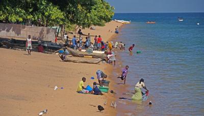 Human Population Densities